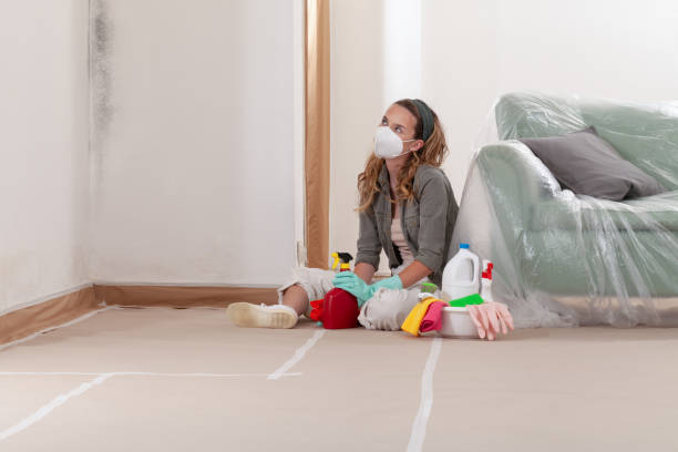 Reliable Basement Mold Remediation contractor in Lexington, IL by Mold Remediation HQ
